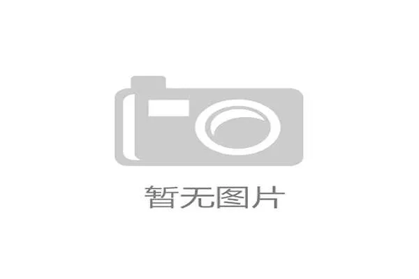 纪律委员会处罚规则详解：哪些行为会被追责及流程解析